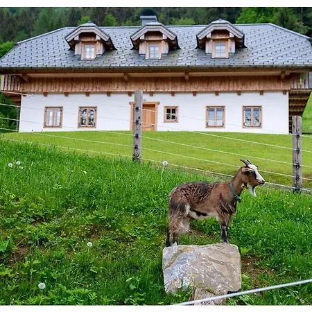 Nyaraló Infanglalm 